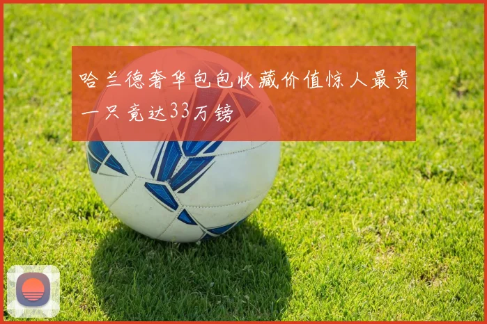 哈兰德奢华包包收藏价值惊人最贵一只竟达33万镑